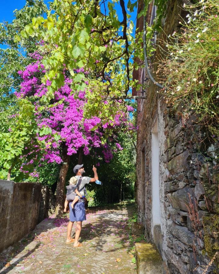 Out Of Town Pansiyon Castelo de Paiva Dış mekan fotoğraf